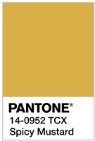 2029 Pantone