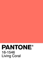 2019 Pantone